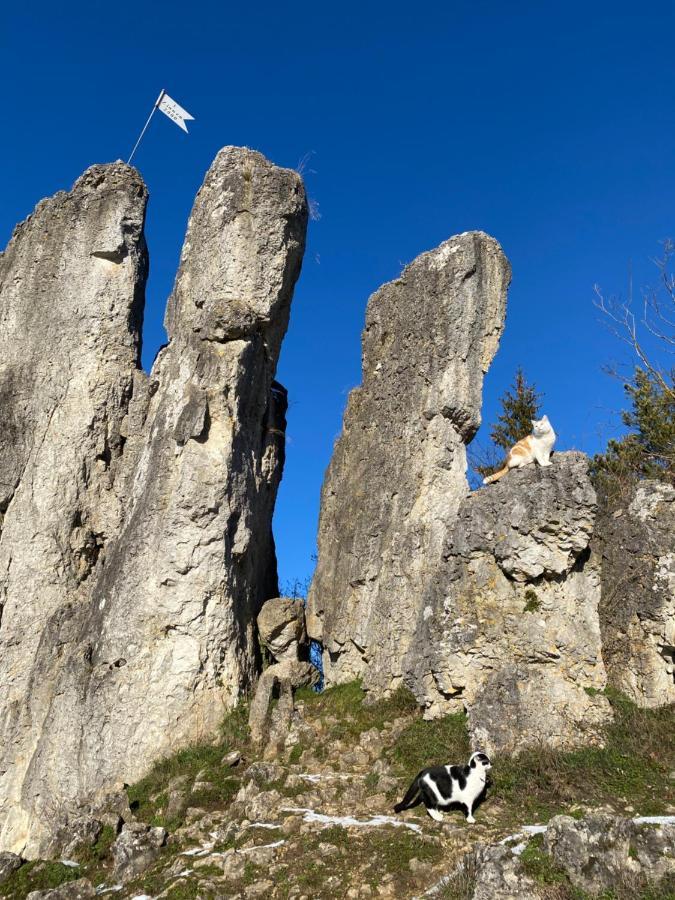 Ferienwohnung Gasthof Zur Saegemuehle Hiltpoltstein Exterior foto