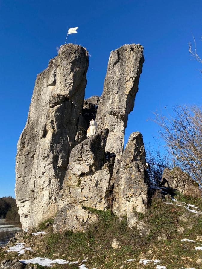 Ferienwohnung Gasthof Zur Saegemuehle Hiltpoltstein Exterior foto